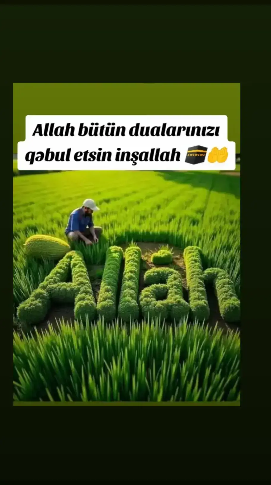 #keşfet #egeliyikaldirtiktok #keşfetdeyiz #tiktok 