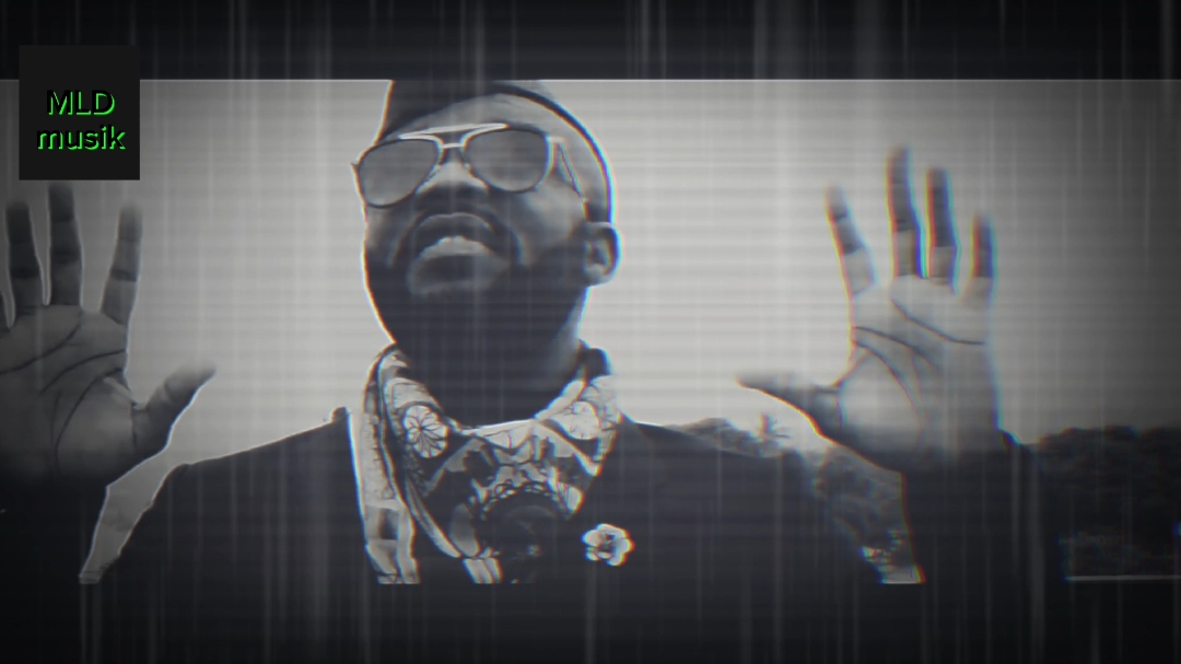 Fally ipupa - canne à sucre #fallyipupa #canneasucre #rumba #fyp 