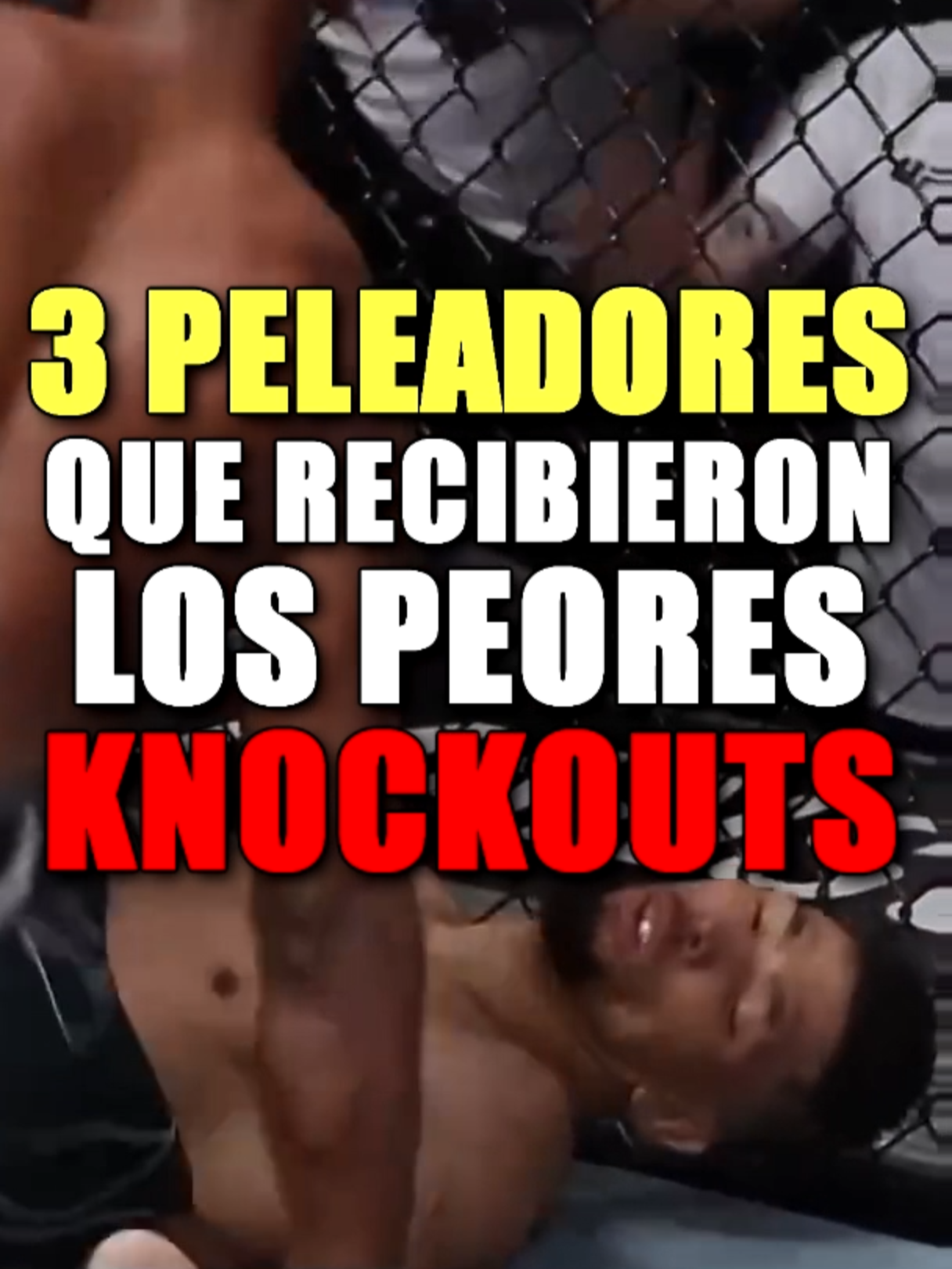 #mma #humor #knockout #pelea #fighting #ko #UFC