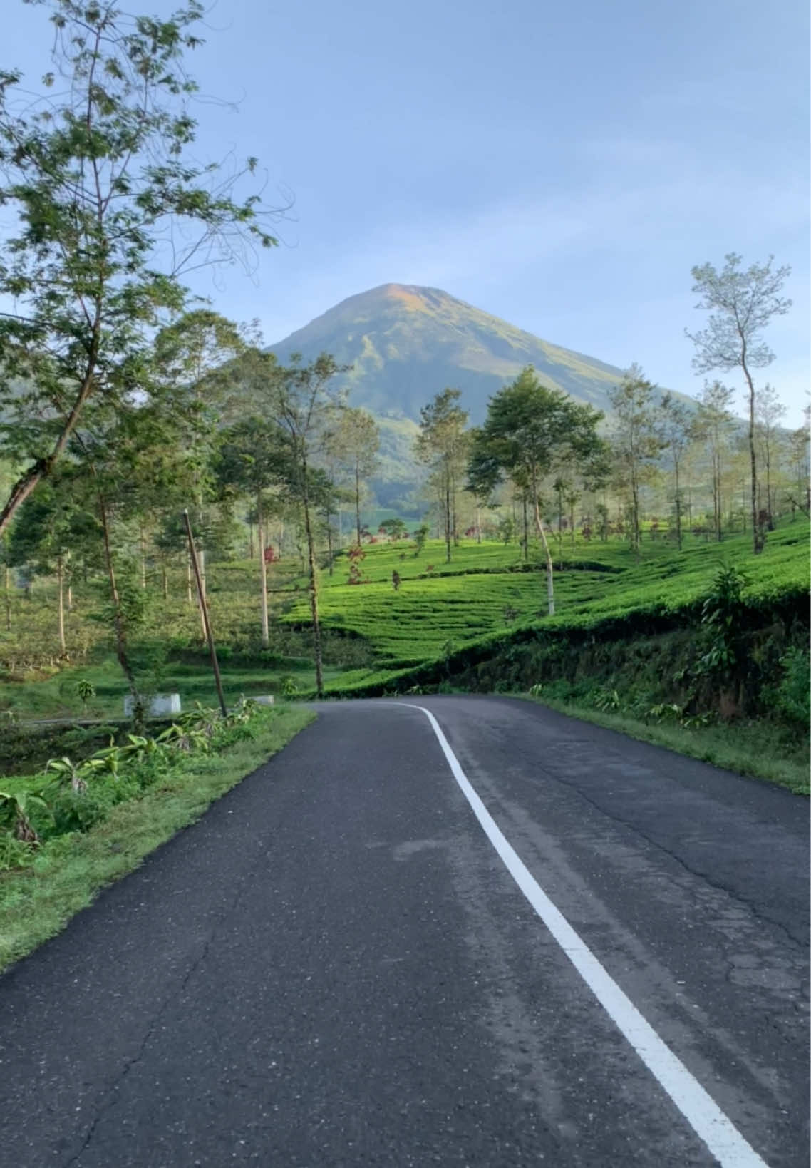 .masih di dalan anyar #gunungcilik #telagabedakah #wonosobo #wisatawonosobo #dieng #videotiktok #dalananyar #morningvibes 