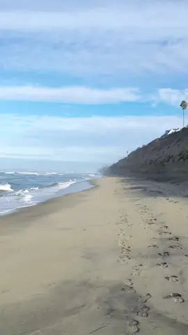 Just below Stonesteps in Encinitas, CA. Let the sound of the water crashing bring your home, to peace and happiness. #Sustainability #beach #plastic #greatpacificgarbagepatch #pacificocean #pacific #ocean #work #service #circular #economy #california #styrofoam #swimcap #sharpie #surf #world #health #walk #sand #wish #vision #caretaker #community #sdc #sandiego #life #scout #environment #stewardship #ispy #bamboo #shell #shells #mollusk #surprise #environmentalism #earth #forrage #search #comb #bag #wealth #treasure #hunt #ca #tiktok #insta #meme #viral #explorepage #india #likes #bhfyp #dance #lfl #trending #video #dankmemes #youtube #funnymemes #memesdaily #humor #comedy #fyp #bollywood #tiktok #instagram #viral #Love #explorepage #trending #explore #like #memes #follow #instagood #reels #music #youtube #likeforlikes #fashion #followforfollowback #tiktokindonesia #funny #photography #meme #foryou #likes #tiktokviral #video #dance #tiktokers #comedy #india #workout #t #y #s #m #dew #amazing #oddlysatisfying #aware #peace #amazing Let the sound of the water crashing bring your home, to peace and happiness. #sustainability #beach #plastic #greatpacificgarbagepatch #pacificocean #pacific #ocean #work #service #circular #economy #california #styrofoam #swimcap #sharpie #surf #world #health #walk #sand #wish #vision #caretaker #community #sdc #sandiego #life #scout #environment #stewardship #ispy #bamboo #shell #shells #mollusk #surprise #environmentalism #earth #forrage #search #comb #bag #wealth #treasure #hunt #ca #tiktok #insta #meme #viral #explorepage #india #likes #bhfyp #dance #lfl #trending #video #dankmemes #youtube #funnymemes #memesdaily #humor #comedy #fyp #bollywood #tiktok #instagram #viral #love #explorepage #trending #explore #like #memes #follow #instagood #reels #music #youtube #likeforlikes #fashion #followforfollowback #tiktokindonesia #funny #photography #meme #foryou #likes #tiktokviral #video #dance #tiktokers #comedy #india #workout #t #y #s #m #dew #amazing 