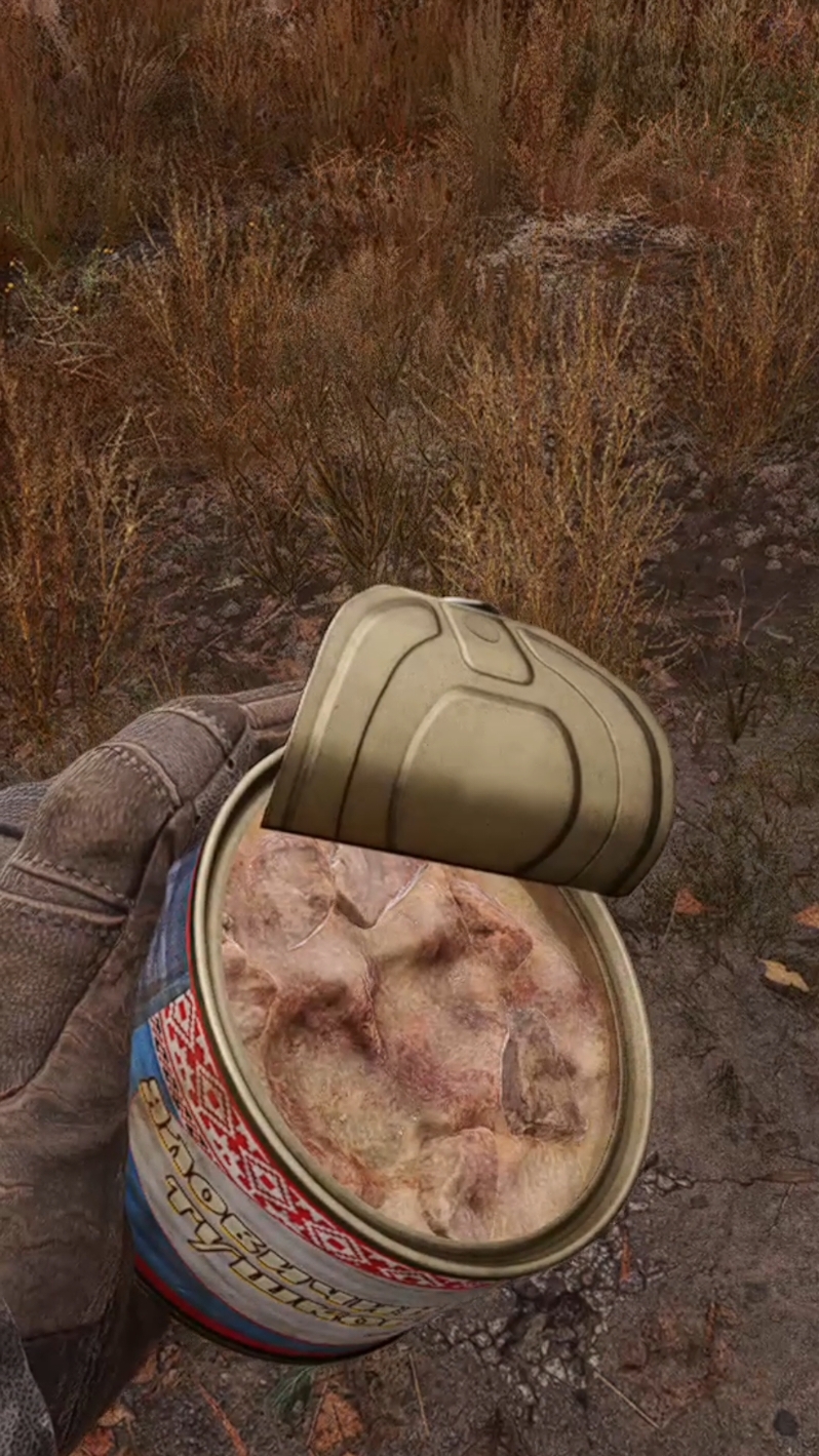 delicious meal #gaming #stalker2 #stalker #fallout #heartofchornobyl #apocalypse 