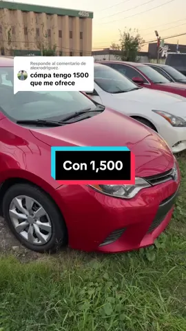 Respuesta a @alexrodriguez. Con 1500 ahi tengo amesas opciones !! #toyota #corolla #camry #jetta #carsoftiktok #houston #trabajo #autos #fyp 
