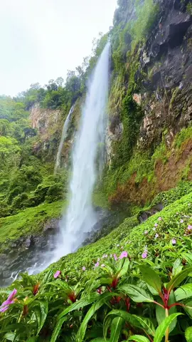 Abis nyoblos paling enak main ke curug,, 😁 📍curug Cileat, Subang #holiday #healing #jalanjalan #liburan #wisata #wisatasubang #backpacker #traveling #solotraveller #solobackpacker #fyp #piknikairterjun #subang #exploresubang #jawabaratbeautiful