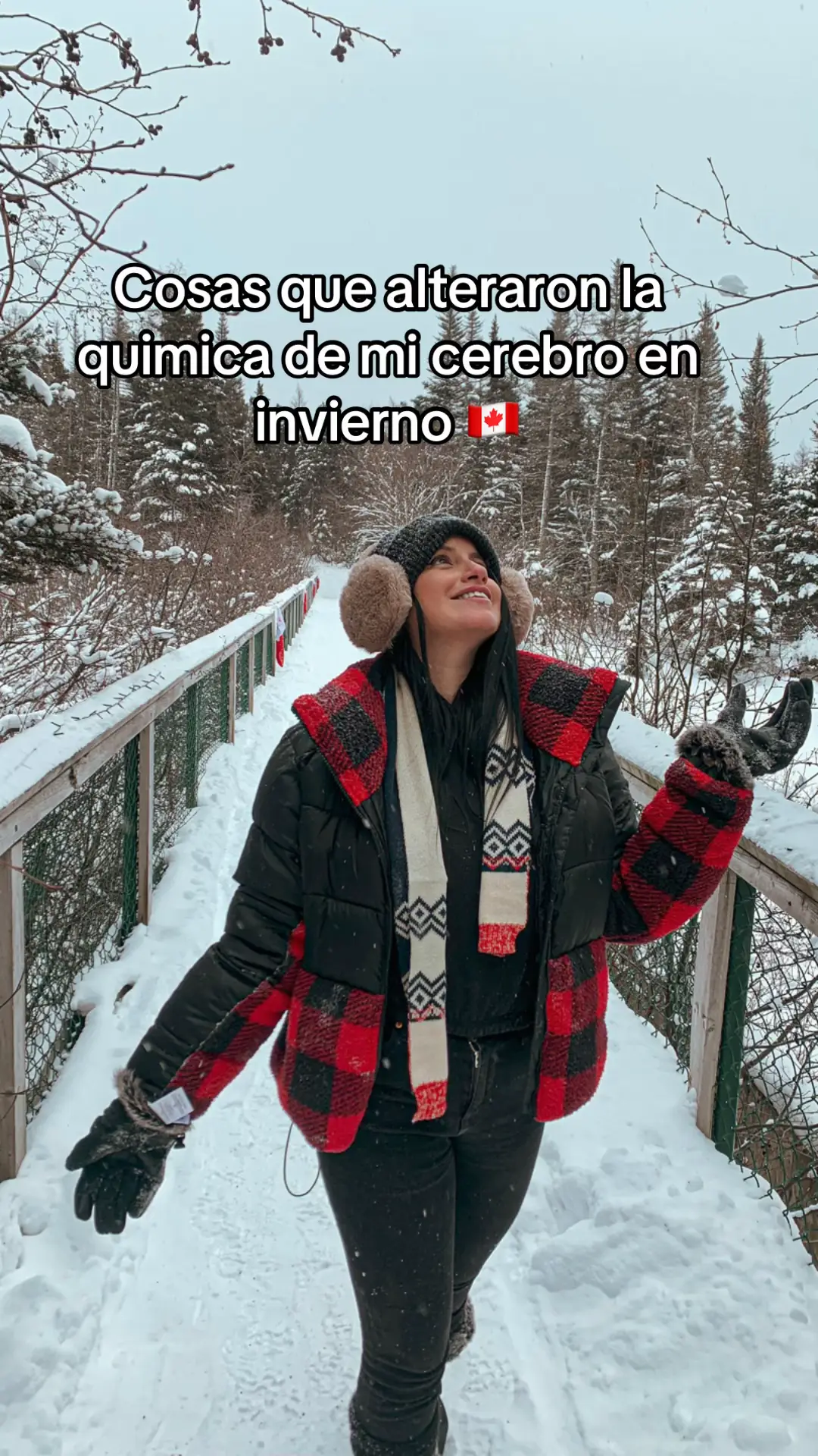 #canada_life🇨🇦 #chile #santiagodechile #fyp #mexico #vivirencanada #canada_life🇨🇦 #canada🇨🇦 #winter #invierno #canadatiktok #fyp #quebec #quebecois #chilenosporelmundo #quebectiktok #canadian 