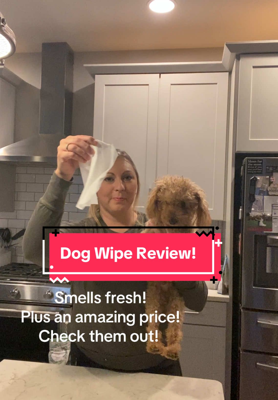 All over body wipes for your dog! Thanks to @Floof !!! They are an amazing quality! You will be so happy with them! 🙌🏽👏🏼 #floof #dog #dogsoftiktok #clean #wipes #dogsoftiktokviral #foryoupage #dogs #poodles #dogwalking #clean #paws #hypoallergenic #veterinarian #pet #PetsOfTikTok #animalsoftiktok #animal #animals #petlover #petparents #dogmom 