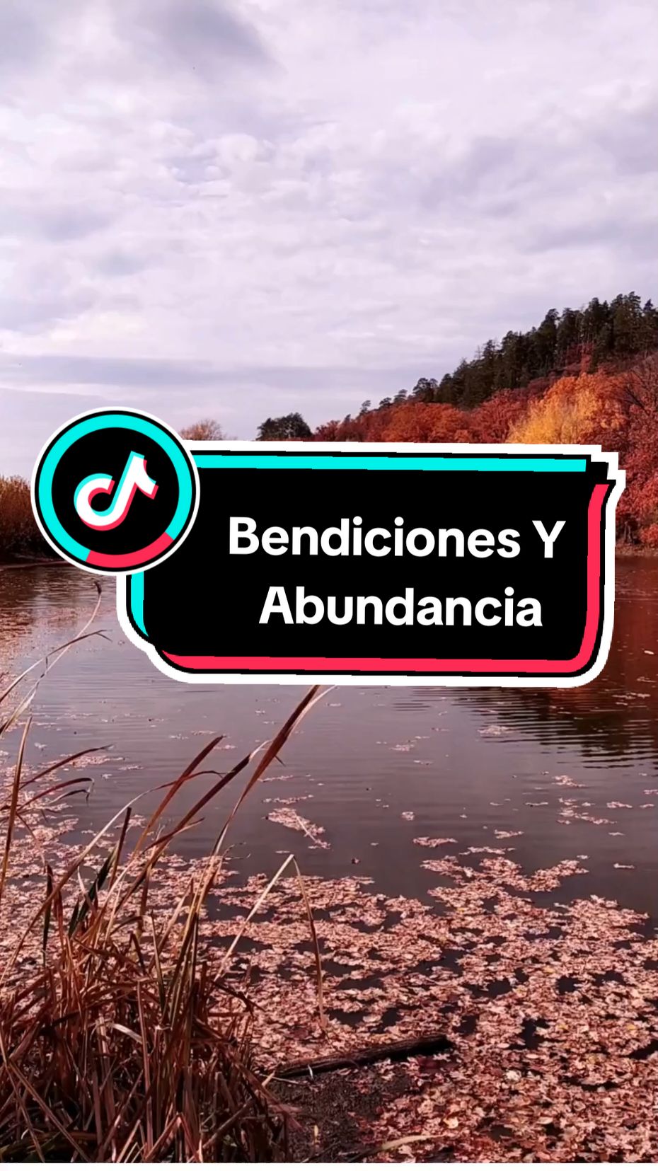 🧲🧘🧠 En la manifestación correcta están las bendiciones... #manifestación #leydeatracción #gratitud #prosperidad #universo #abundancia 