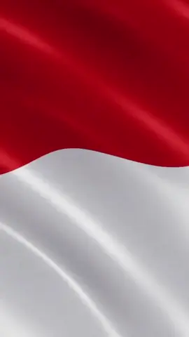 #CapCut  Tps 10 saya bangga Menggunakan Hak pilih dalam pemilihan serentak 27 November 2024
