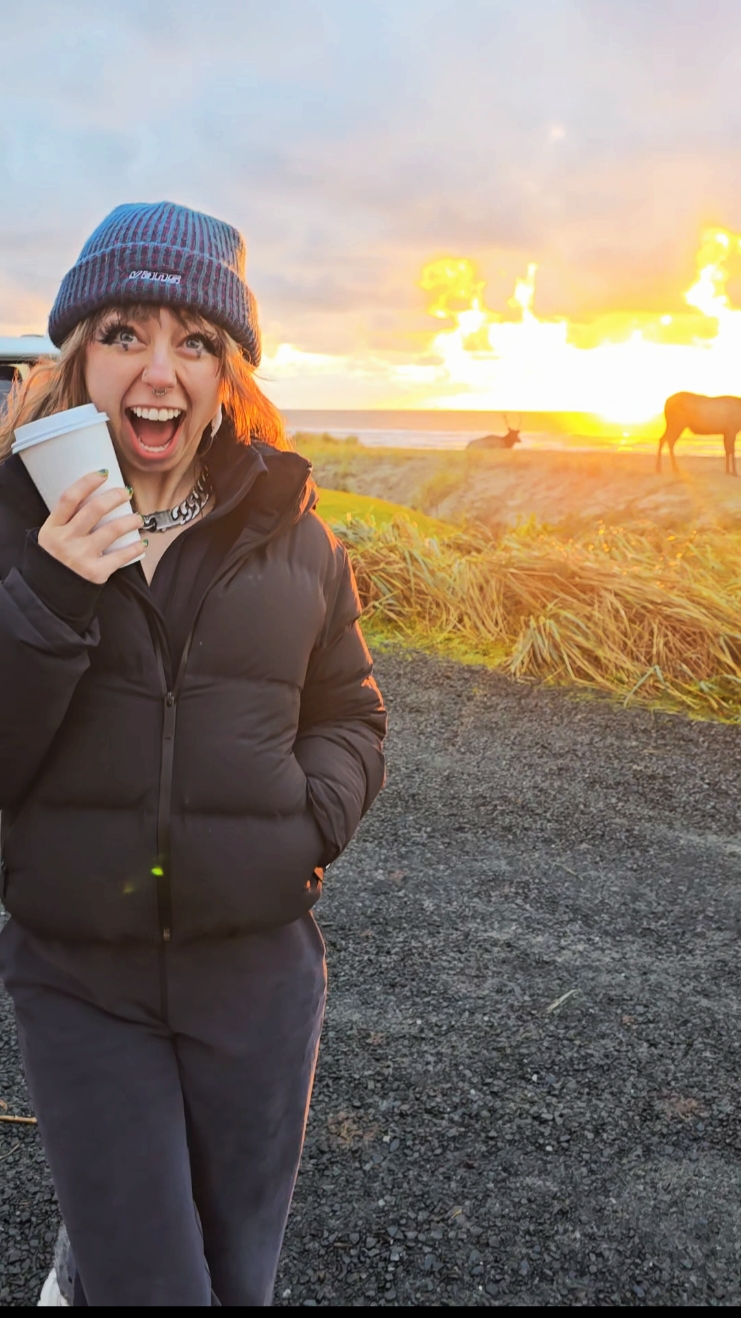 Elk + Beach + Sunset =  ✨️ 