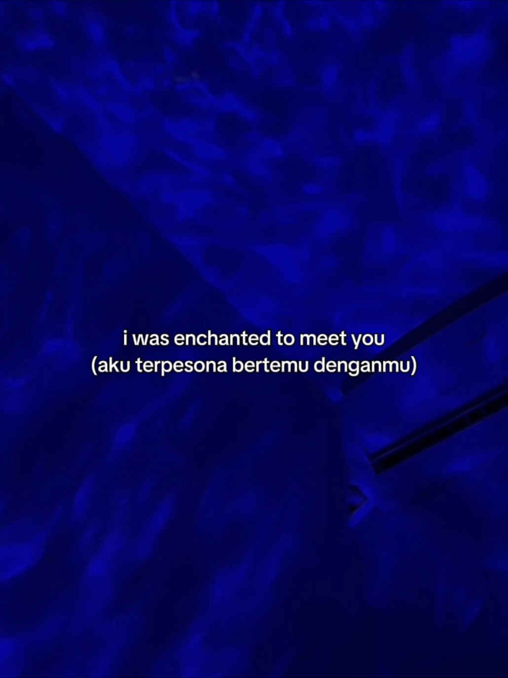 i was enchanted to meet you  #enchanted #taylorswift #lyrics #fyp 