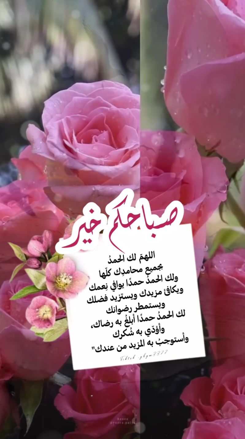 #اصبحنا_واصبح_الملك_لله #صباح_الخير #صباحكم_أحلى_صباح #الصلاه_علي_النبي #الحمدلله_دائماً_وابداً #قران #الصباح #خاطره_ghym3377 #explore #foryoupage #foryou #fyp #اكتب_شي_توجر_عليه 