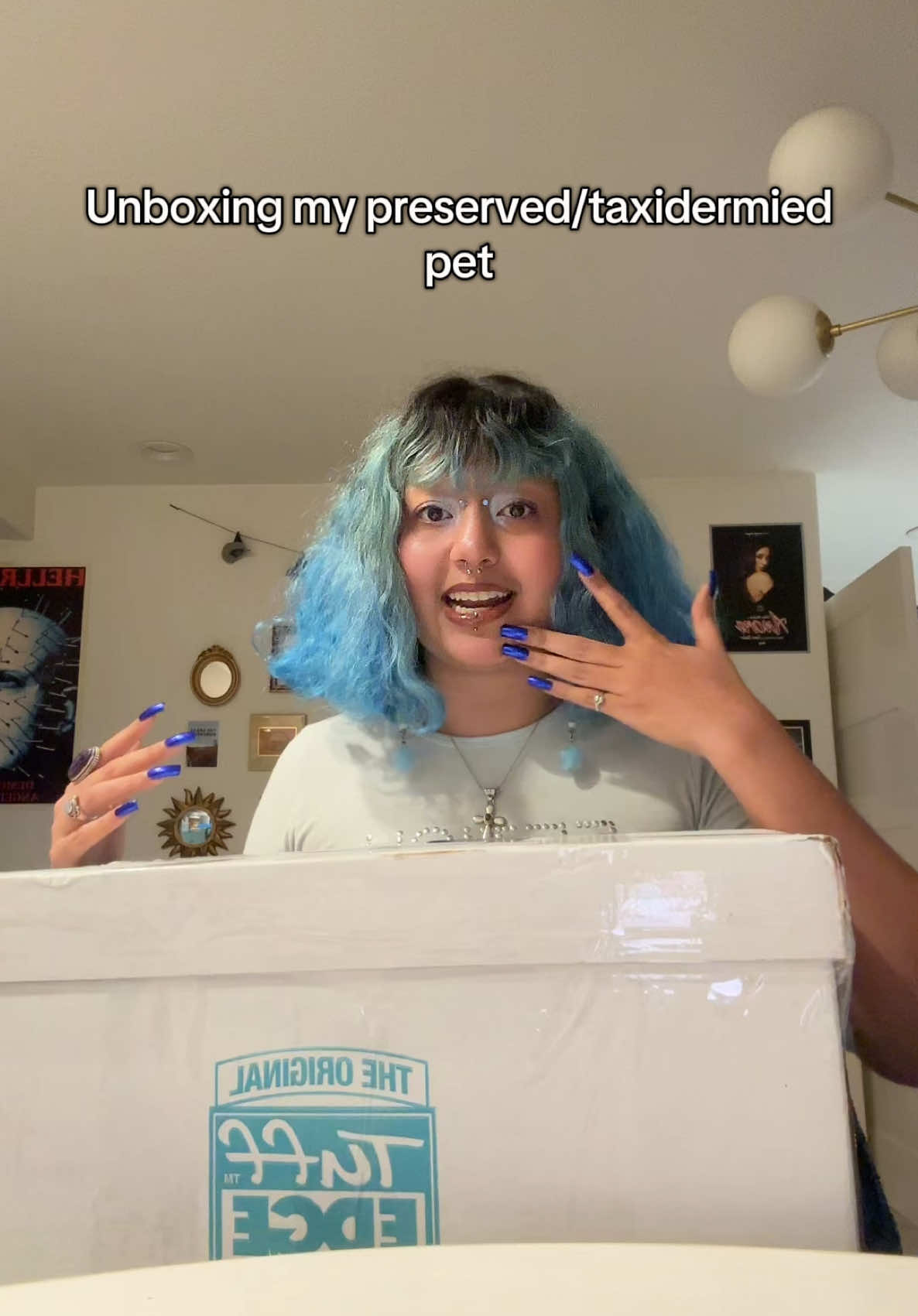 My little lamb is home @Animal Family Pet #Vlog #petpreservation #taxidermy #odditytok #oddities #rainbowbridge #chihuahua #seniorchihuahua #unboxing #doglover 