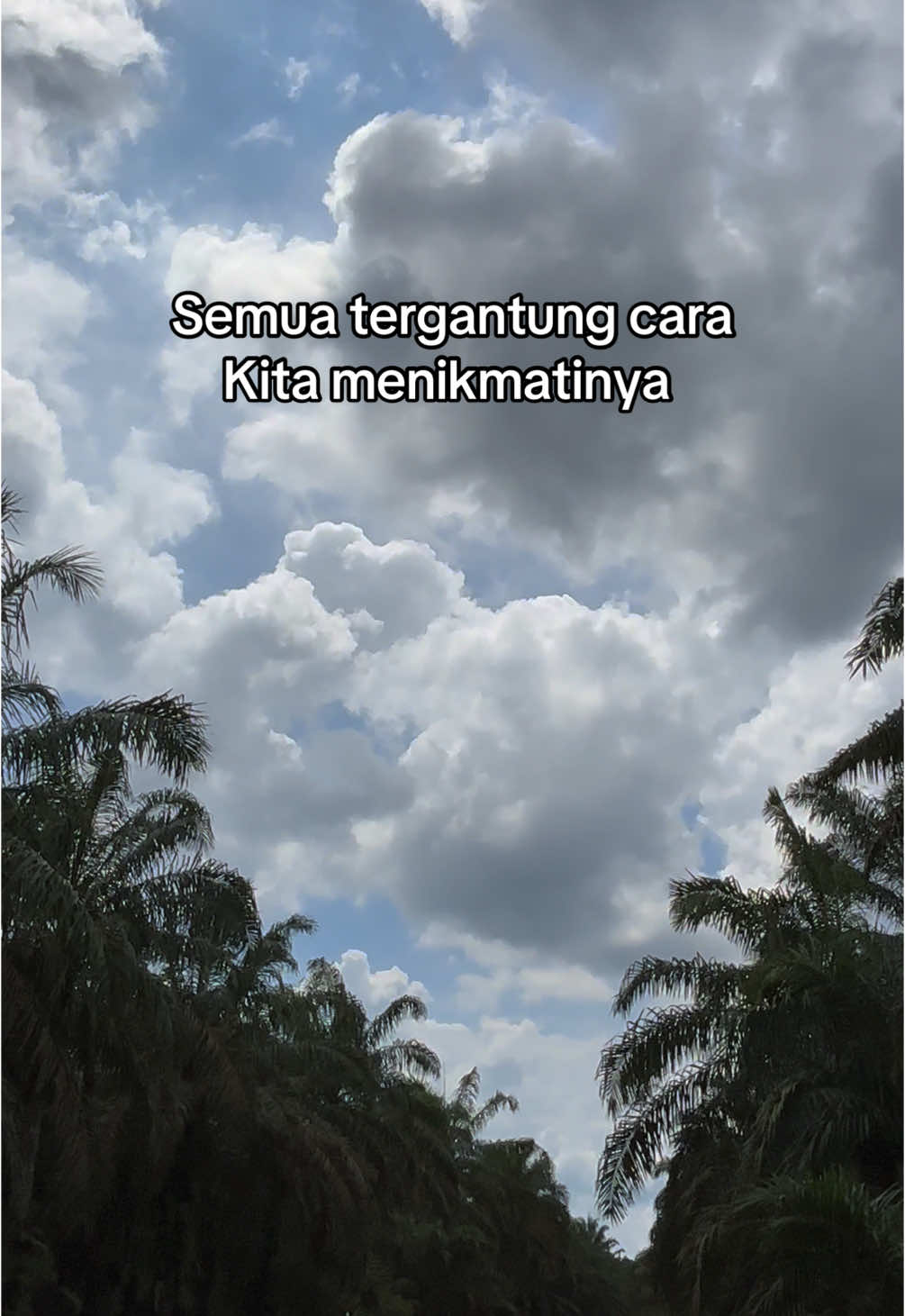 #storysawit #sawitontiktok #sawitsumatra #petanisawit #fypシ #petaniindonesia🇮🇩🇮🇩🇮🇩🌿🌿 #sawit🌴🌴🌴 