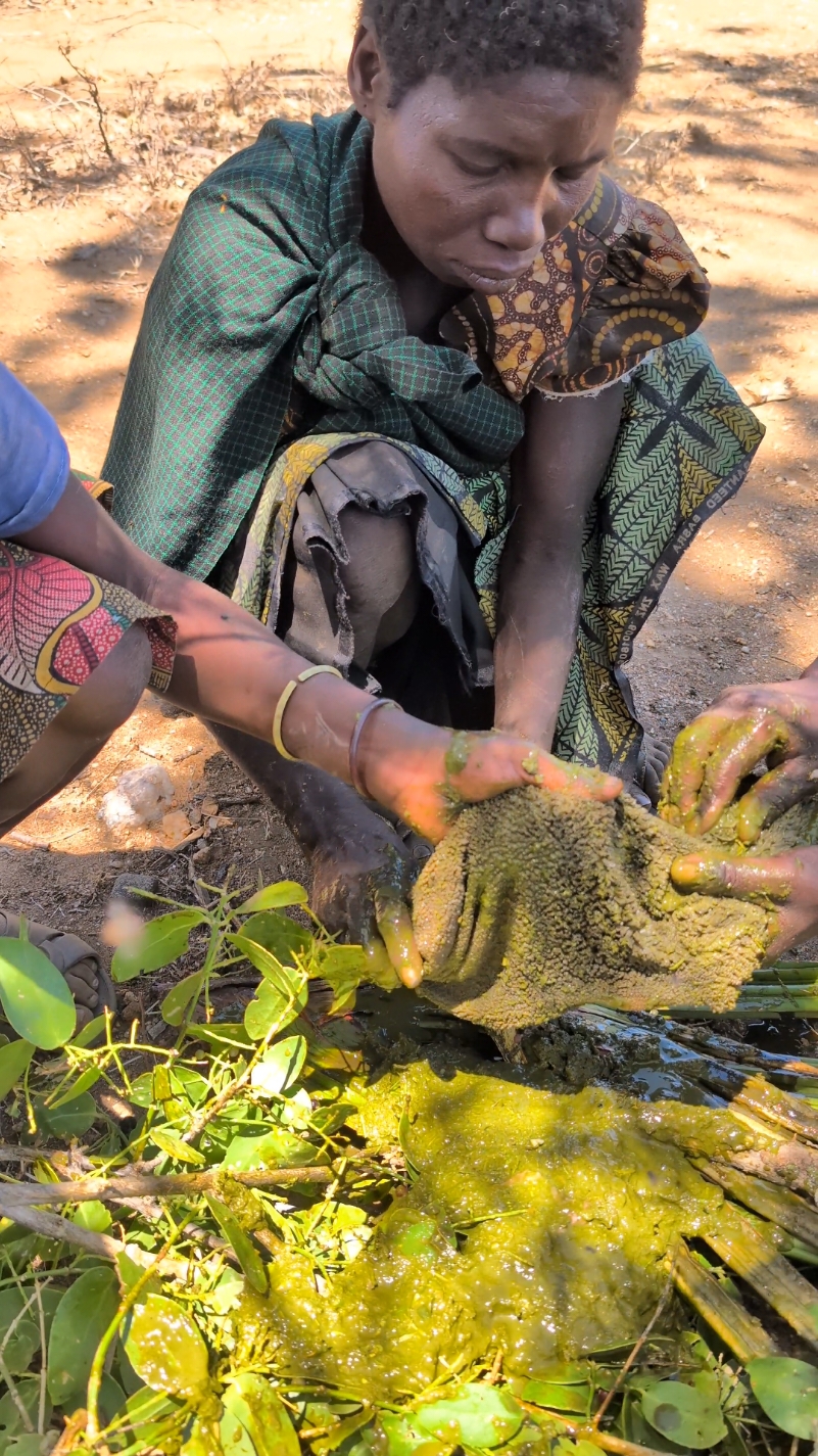 Hadzabe women preparing Lunch for their family 😋‼️😁 The taste of this Raw meat is incredible #africatribes #hadzabetribe #USA #villagelife #tiktok 