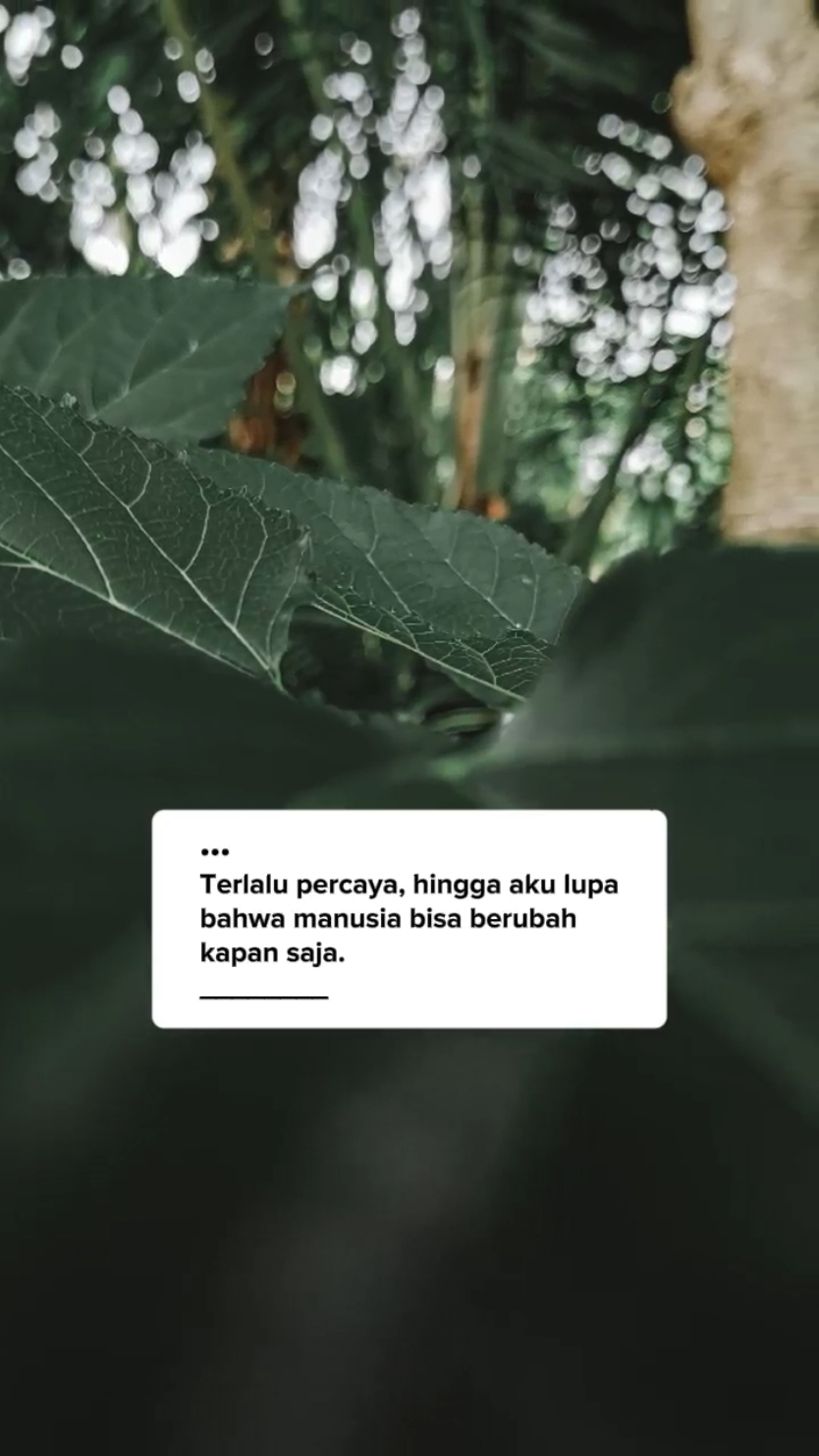 #CapCut #storywa #fyp #katabijak #semangat #katakatabijak #trend #qoutesstorywa #trending #katakatamotivasi #snapwa #viral #storytime #daily #status #qoutes #viraltiktok #reminder #padahariini #bismillahfyp 