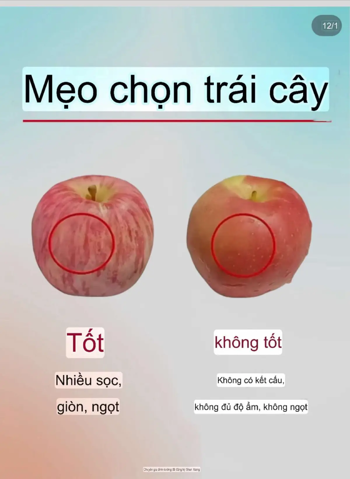 Mẹo hái trái cây được tiết lộ! Hãy thu thập chúng nhanh chóng và trở thành chuyên gia về trái cây trong vài giây. Bạn có tha hồ lựa chọn mỗi khi đi siêu thị không? Đừng lo! Hôm nay tôi sẽ mách bạn một số mẹo chọn trái cây siêu thực tế để đảm bảo bạn luôn có thể dễ dàng chọn được những loại trái cây vừa ý, tươi ngon! #biquyetchamsocda #cachchamscdakho #chamsocda #thunholochanlong #chamsocdamat #chonglaohoa #chamsocdahangthi #kemduongda #duocmypham #serum #thoiquenchamda #cachchamsocdamun #kemchongnang #kienthucchamsocda #myphamchamsocda #thanhphantrongmyphamchamsocda #chaámocdamoingay#kemchongnanghieuqua#skincare#cachchamdamun#collagen#danhon#dadau #cachchamsocdakho#cachchamsocdadau #meochamsocda#cachtrimunhieuqua#chamsocgan #traduongnhan#phunu#duongsinh#chamsoctoc#chamsocgan#chamsoctoc#kinhnguyet#traicaytotchoda#giambeo#traicaygiamcan#duongsinh#thucphamtotchocothe#hangthigiamcan