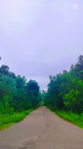 #CapCut #เทรนด์วันนี้tiktok 