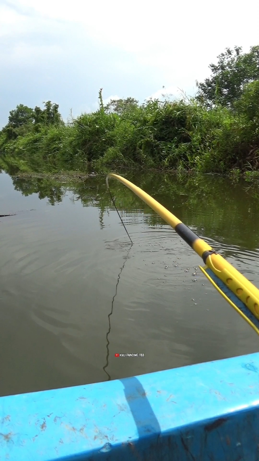 suara senar yang merdu #fishing #fish #mancing #fyp #mancingmania 