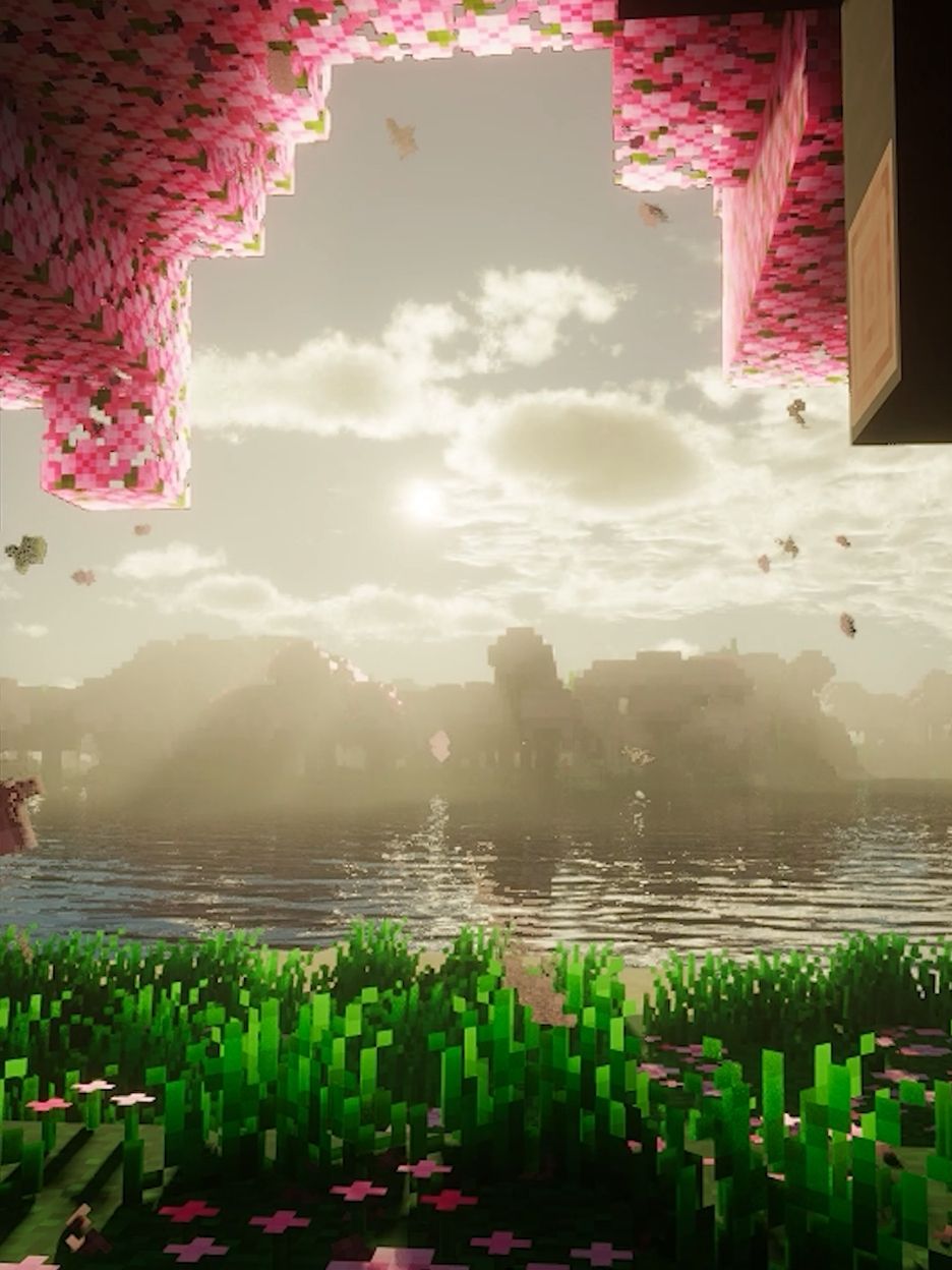 #livewallpaper #Minecraft #sakura #wallpaper #sunsets 