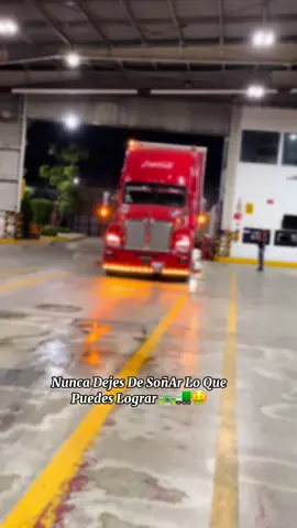 #CapCut #parati #teamreyes #cocacolos #purocarroexótico #t880 #kenworth 😍👏🏻😉