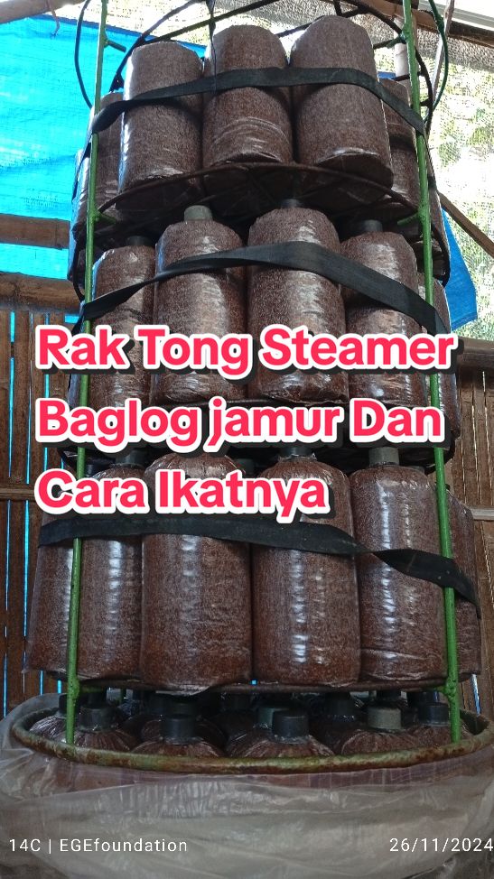 Membalas @thonysevent7  Rak Tong Steam Baglog dan Cara Ikatnya #budidayajamur  #mesinjamur  #usahasendiri  #jamurtiram  #steamerbaglog 