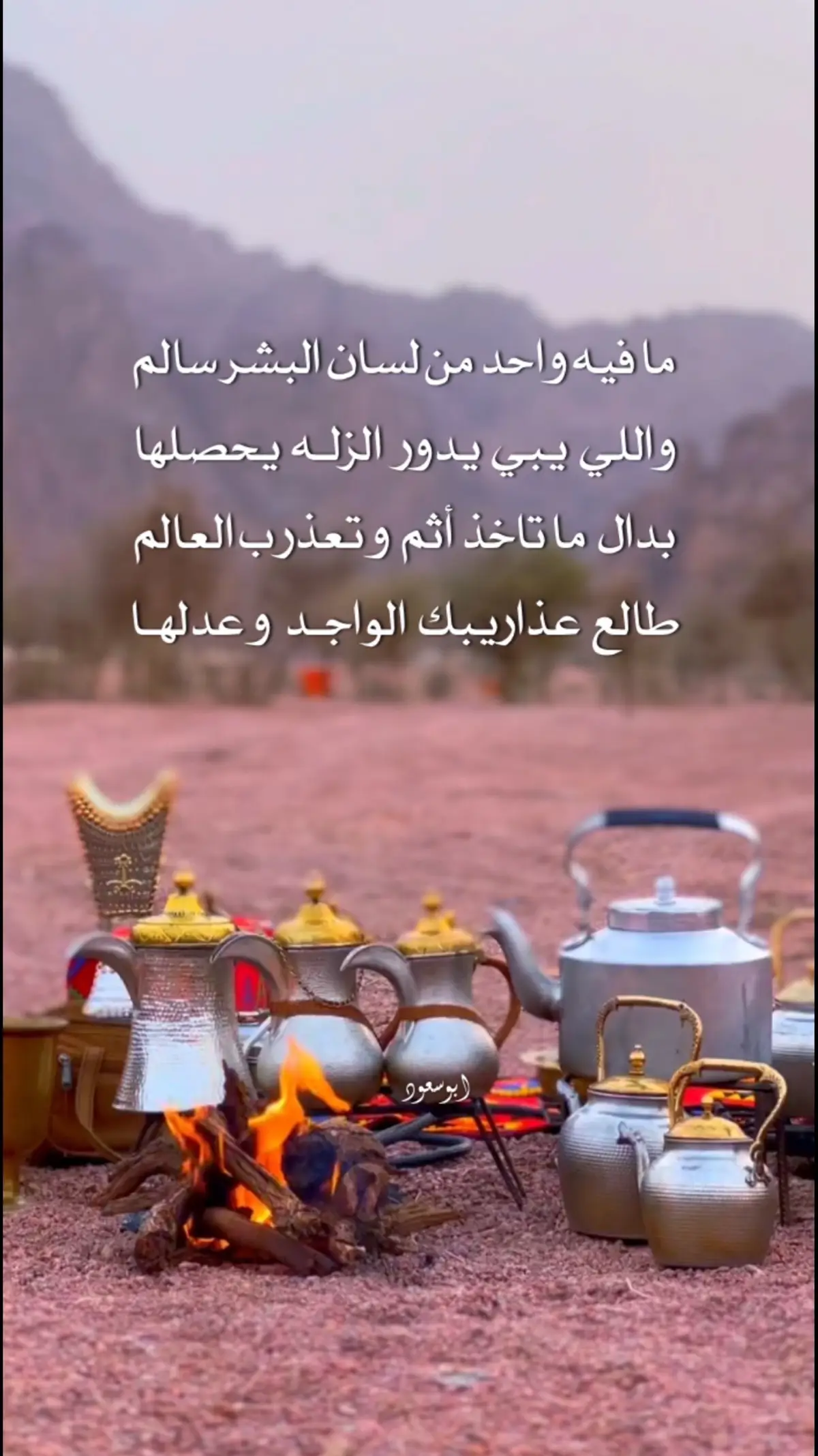 #شعر #قصيد #قصايد 