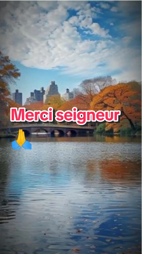 Seigneur, si je contemple tes bienfaits dans ma vie depuis Janvier jusqu'à Décembre, je ne peux que te dire Merci papa🙏🙏🙏 #viralvideos #fyp #togolais228🇹🇬 #eweland🇧🇯🇬🇭🇹🇬 #Dieu #merci 