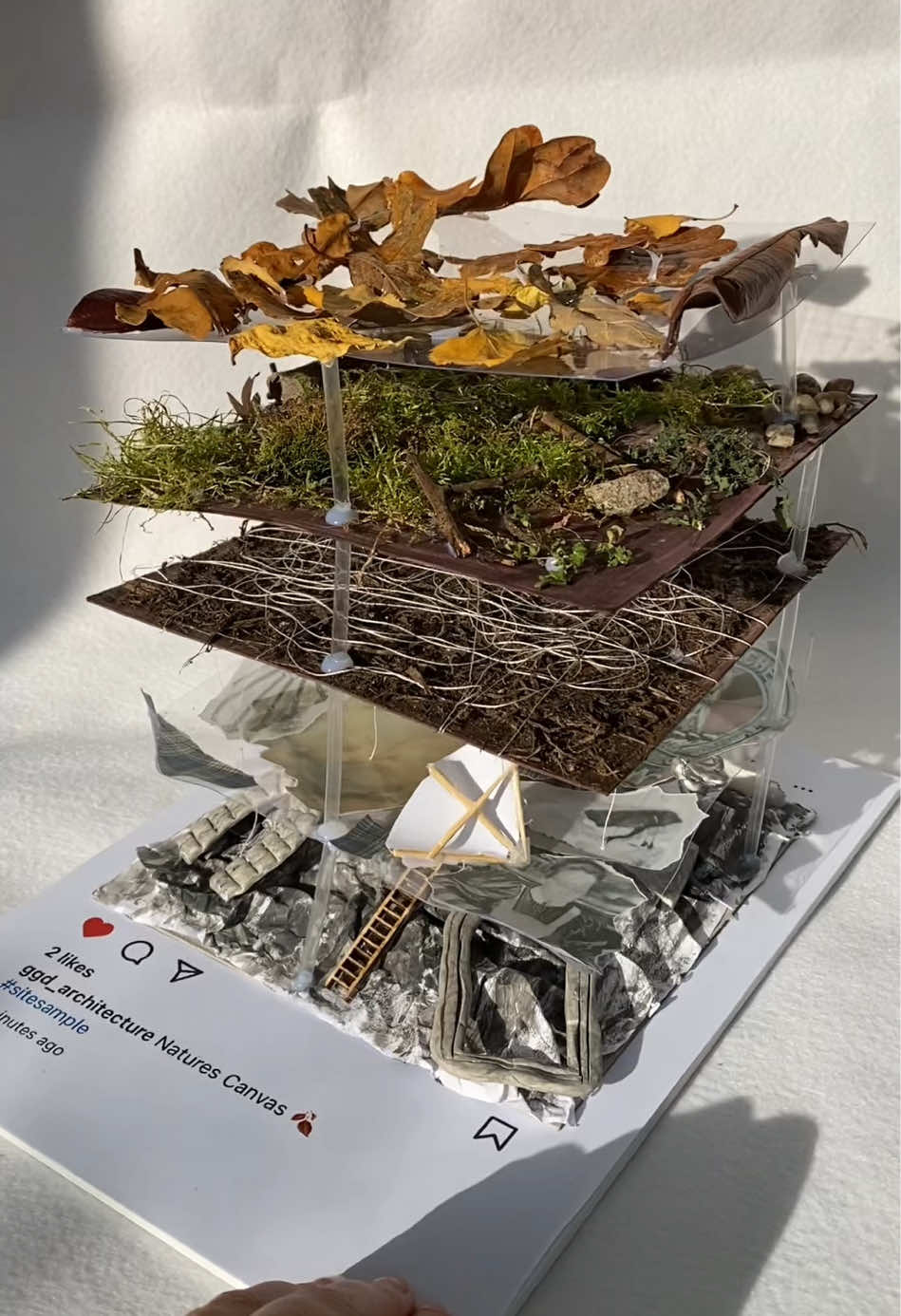 🍂 Natures Canvas: A picture speaks a thousand words, but a cross-section reveals the foundations. What is beneath the soil? What stories do the roots hold? This piece digs deep, revealing that there is much more underneath the ground we walk on. #architecture #architect #architecturestudent #architok #siteanalysis #student 