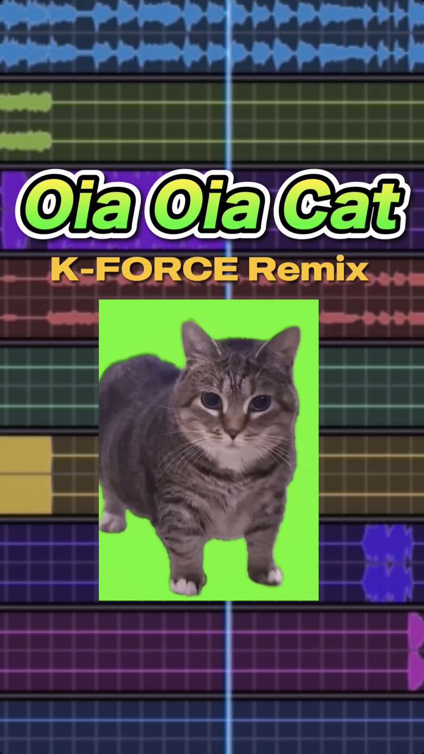 Oia Oia Cat Remix @Oia Oia Cat  #oiaoiacat #oiacat #cat #K_FORCE #Remix 