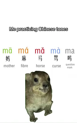 Chinese tones practice #chinese #chineselanguage #chineselearning #tones #chinesetones #chineseteacher 