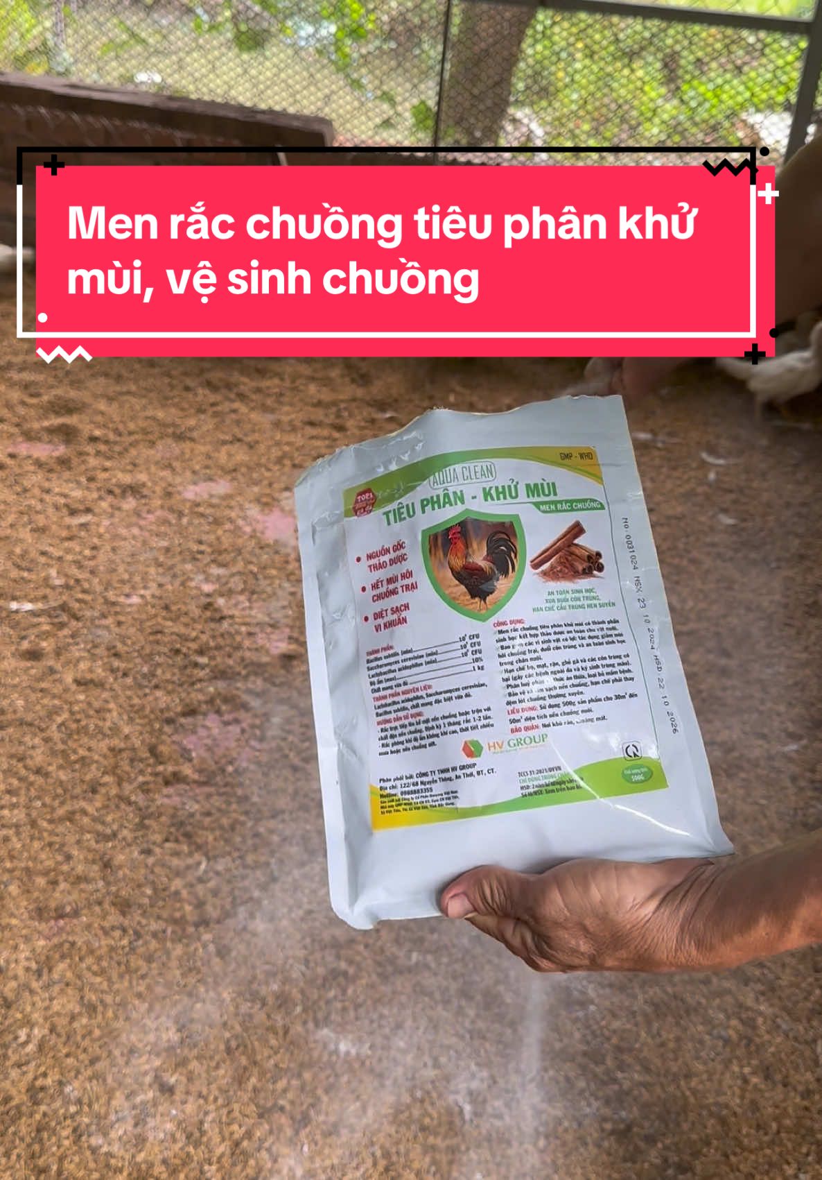 Men rắc chuồng tiêu phân khử mùi, vệ sinh chuồng #thuocgadacantho #gatre #chienke #ganoi #gatreda 