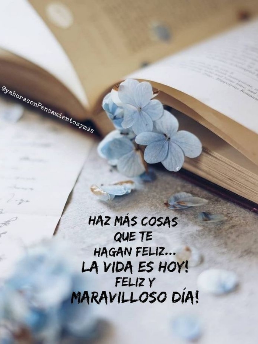 #graciasporsuapoyo❣️ #miércoles #buenosdias #parati #frasesbonitas #fyp 