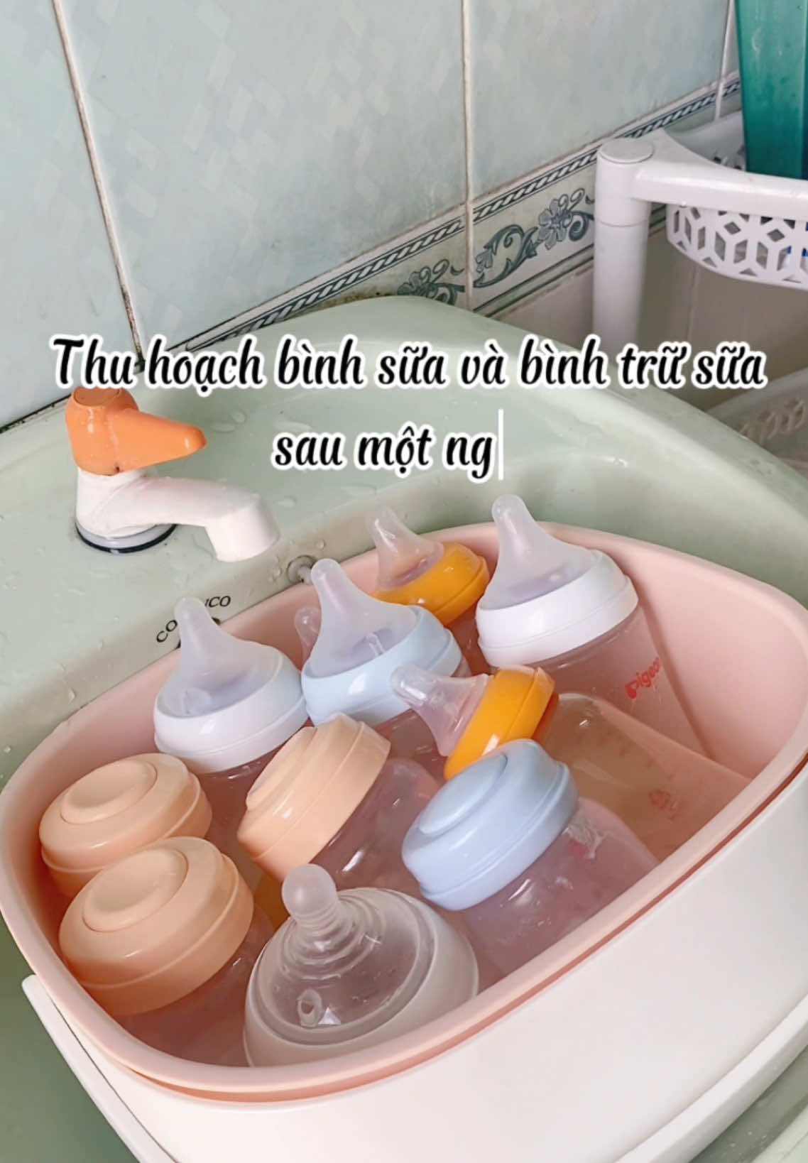 Thu hoạch bình sữa và trữ sữa sau một ngày #asmr #capcut #mevabe #embe #xuhuong #samsam 