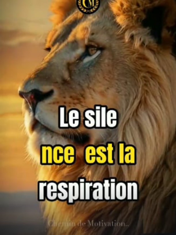 Le silence est la respiration de l'intelligence #citation #verite #motivation #emotion #citationdujour #pourtoi #force #explore #conseil #foryoupag #fyp #parati #viral #motivation_433 #triste #devinnelapersonne #motivationalvideo 