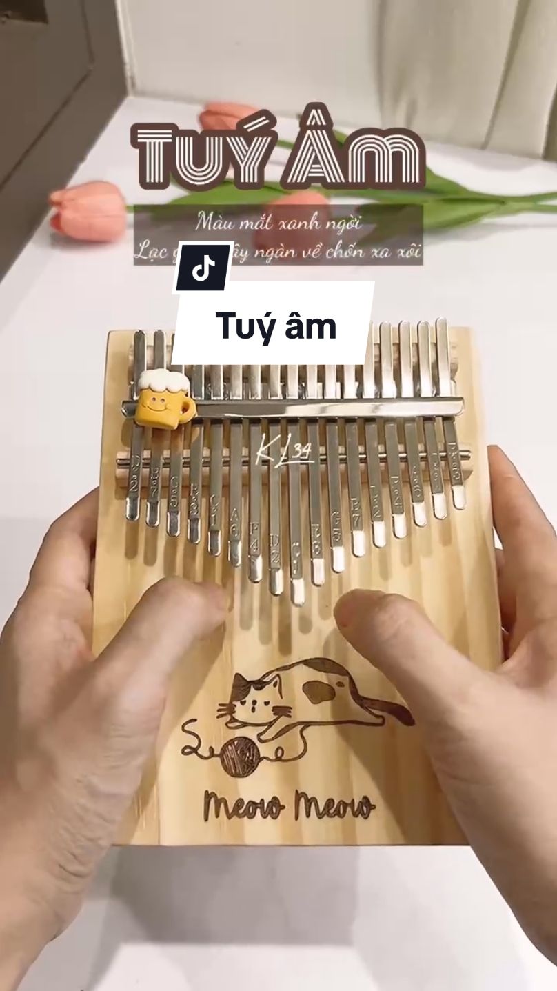 Tuý âm - Kalimba 17 phím cover Kl34 khắc mèo meo meo #kl34 #kalimba #kalimba17phim #tuyam #meomeo #tabso 