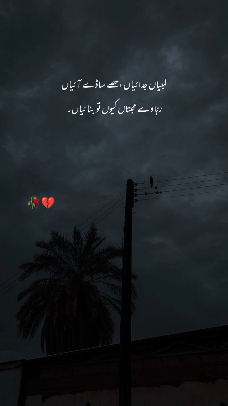 ربّا وے محبتاں کیوں تو بنائیاں💔🥀#foryou #foryou #foryou #foryou #foryou #millionviews #foryoupage 