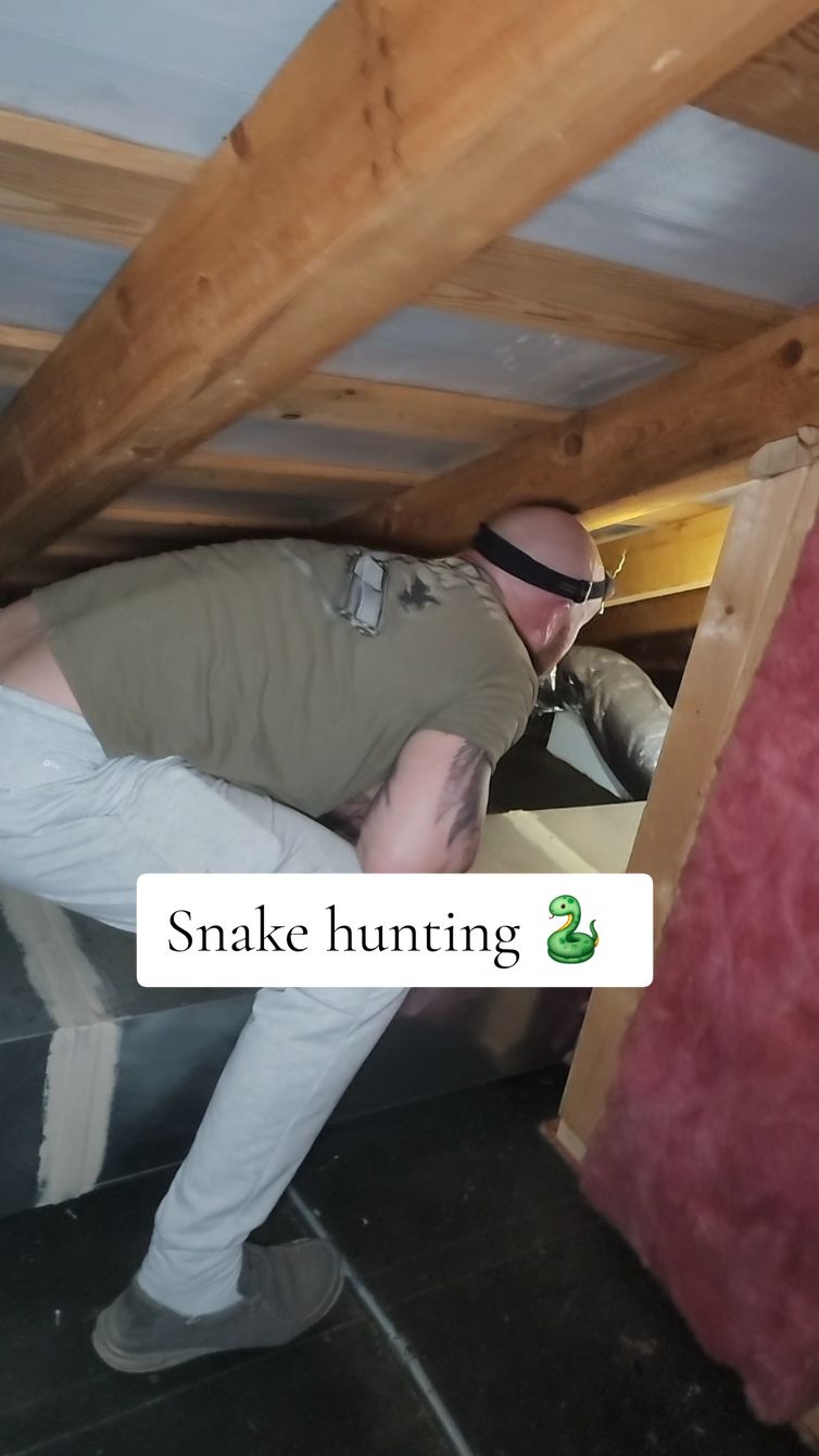 Snake update is here!  Last night my husband checked everything inch of the attic and all the Christmas decorations! #snake #update #hauntedtiktok #wtf #christmasdecorating 