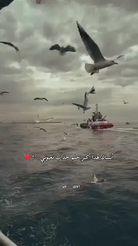 اي والله ماانساك خويه🥹💔#CapCut 
