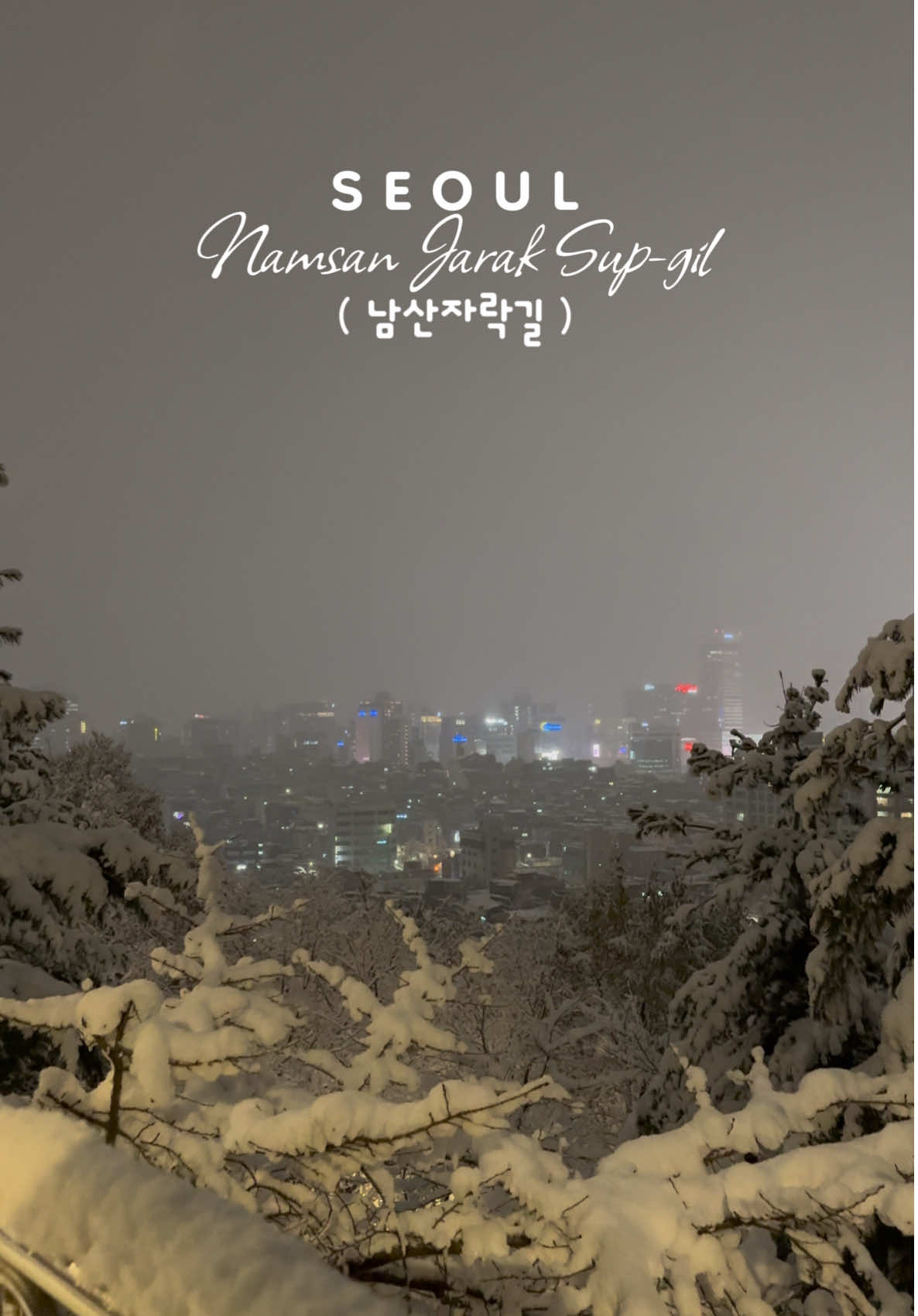 A stunning view of Seoul from Namsan Jarak Sup-gil  📍 Namsan Jarak Sup-gil 남산자락숲길 산34-133 Sindang-dong, Jung District, Seoul. #snow #firstsnow #fyp #foryou #korea #foryoupage #namsan #seoul #southkorea #foryourepage #firstsnowinkorea #firstsnowfallinseoul 