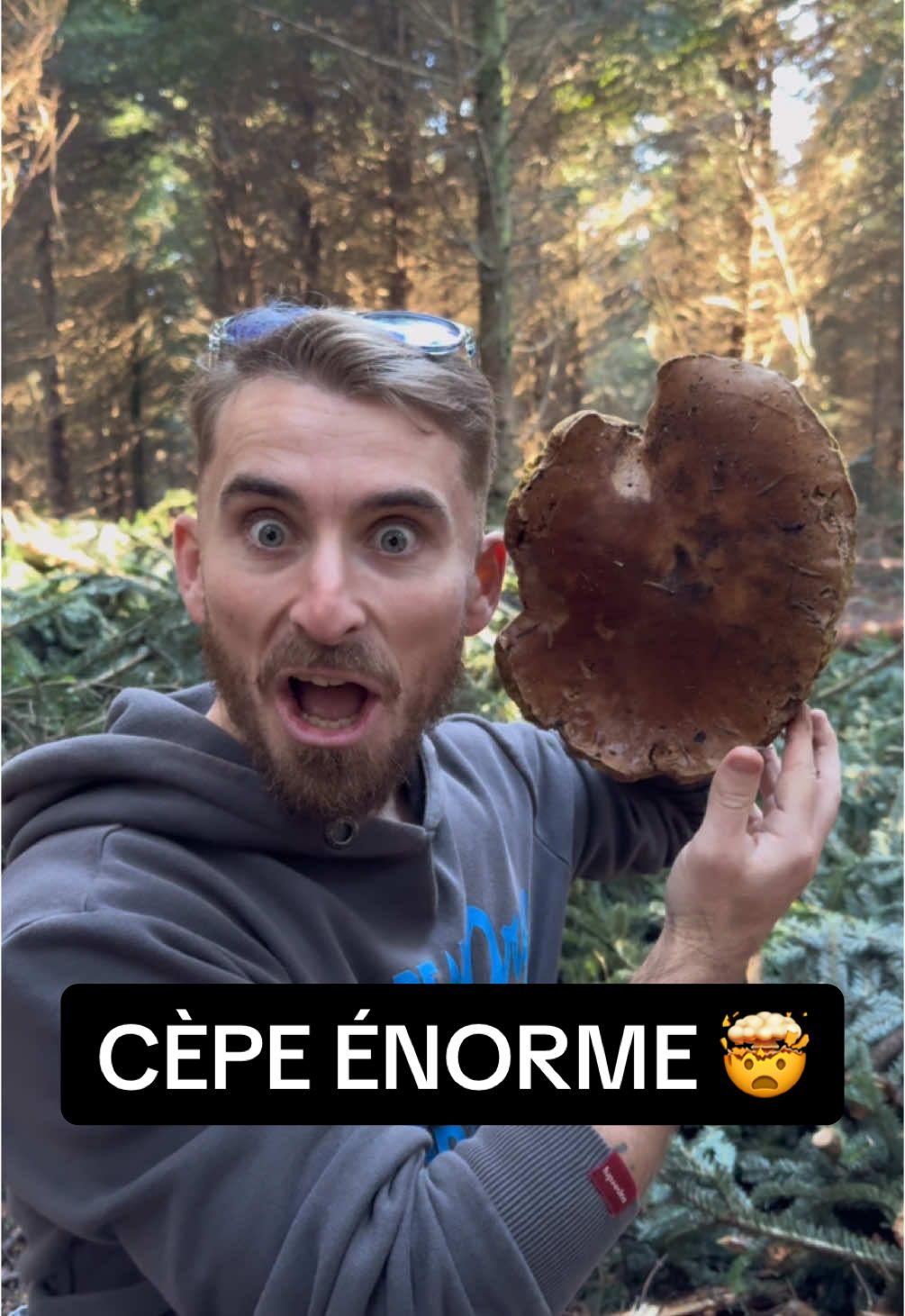 Choqué de ma trouvaille ce 27 novembre en forêt 🤯  Clairement le plus gros cèpe de toute ma vie !!! #champignon #mushrooms #cepe #nature #foret #montagne #decouverte #exploration 
