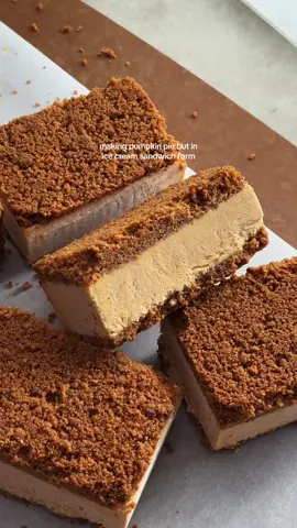 pumpkin pie ice cream sandwiches! 🍂 if you’re looking for a fun alternative to pumpkin pie that you can leave in the freezer and not think about again until dessert time - this is it! they’re made with a biscoff crust and no-churn pumpkin ice cream in the middle 🧡 recipe linked in my bio or search “pumpkin pie ice cream sandwiches” on teakandthyme.com ✨ #pumpkin #icecream #icecreamsandwich #nobakedessert #thanksgivingdesserts #pumpkinpie 