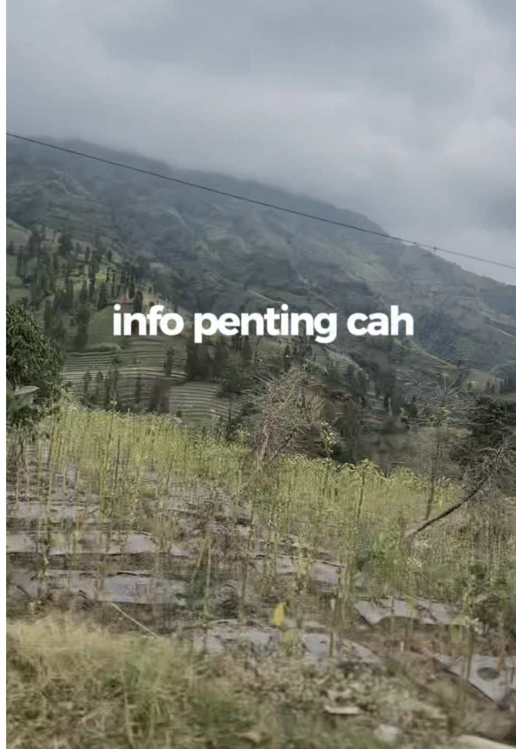 info penting cah #CapCut #infopenting #info #fypage #fyp #fyppppppppppppppppppppppp #sound #soundviral #wonosobo #dieng #jj #jedagjedug #tambi #view #viewgunung #jalanjalan 