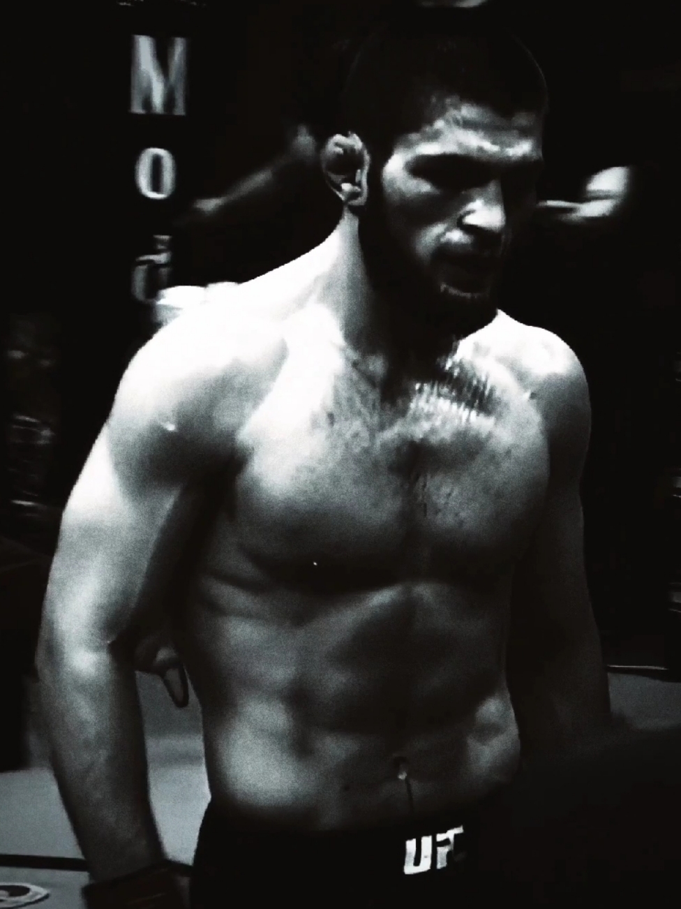 29-0 | #khabib #khabibnurmagomedov #UFC #edit 