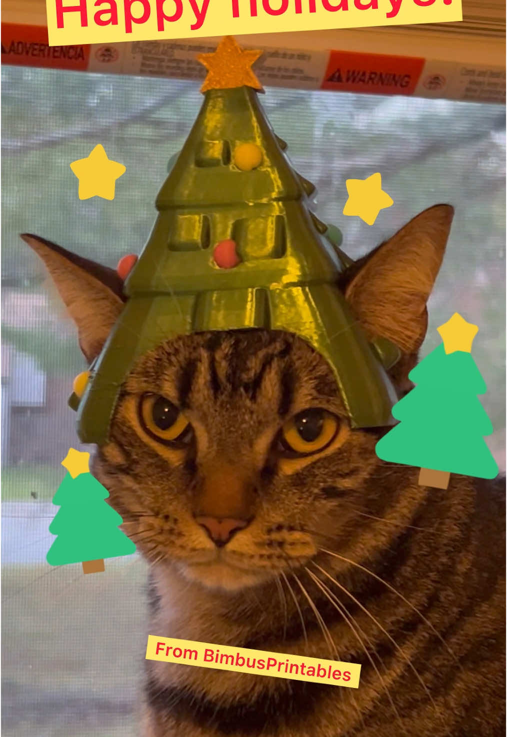 Christmas tree cat hat🎄#bimbusprintables #3dprinting #catsoftiktok #christmas #christmastreedecorating #santa 