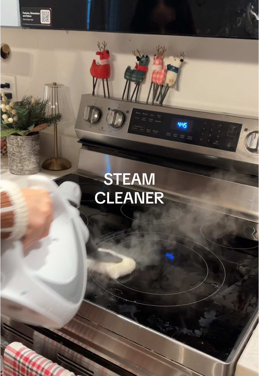 my fave cleaning tool is on sale 🫧 dont miss this! #giftguide #spotlightfinds #giftsforher #tiktokshopblackfriday #tiktokshopholidayhaul #TikTokShopCyberMonday #steamcleaning #steamcleaner #cleaningtools #glassstovecleaning #steamclean 