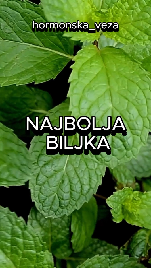 Najbolje biljke za vaše zdravlje... 🌱☘️