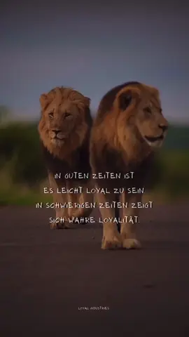 #loyal #industries #sprüche #selbstvertrauen #wahresprüche #zitate #gedanken #gefühle 