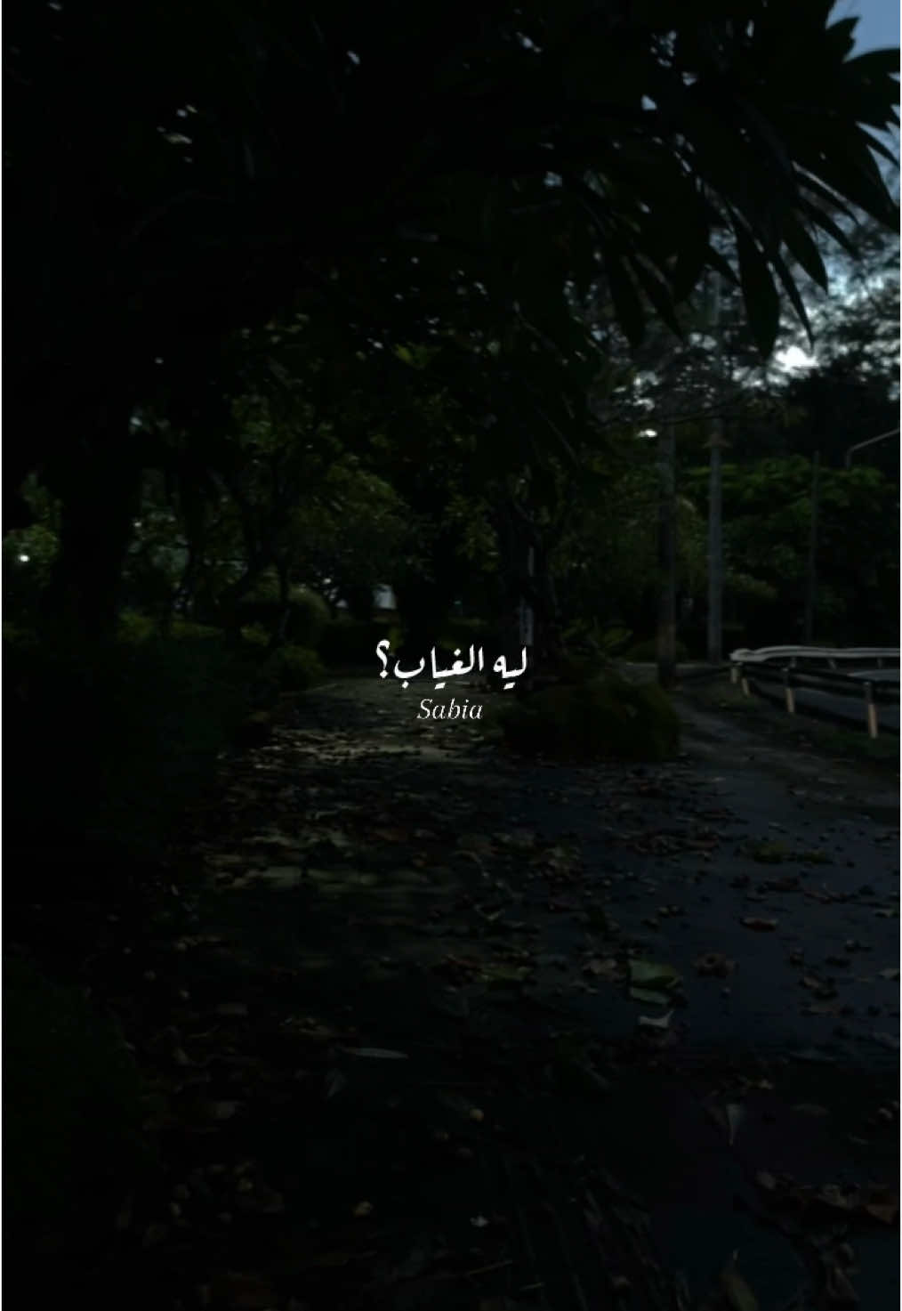 يارزق قلبي يانصيبي🥺🤍 #بهاء_سلطان #حن_عليا #تصويري📷 #fypシ゚ #foryoupage #trending #تصميم_فيديوهات🎶🎤🎬 #رايكم #fyppp 