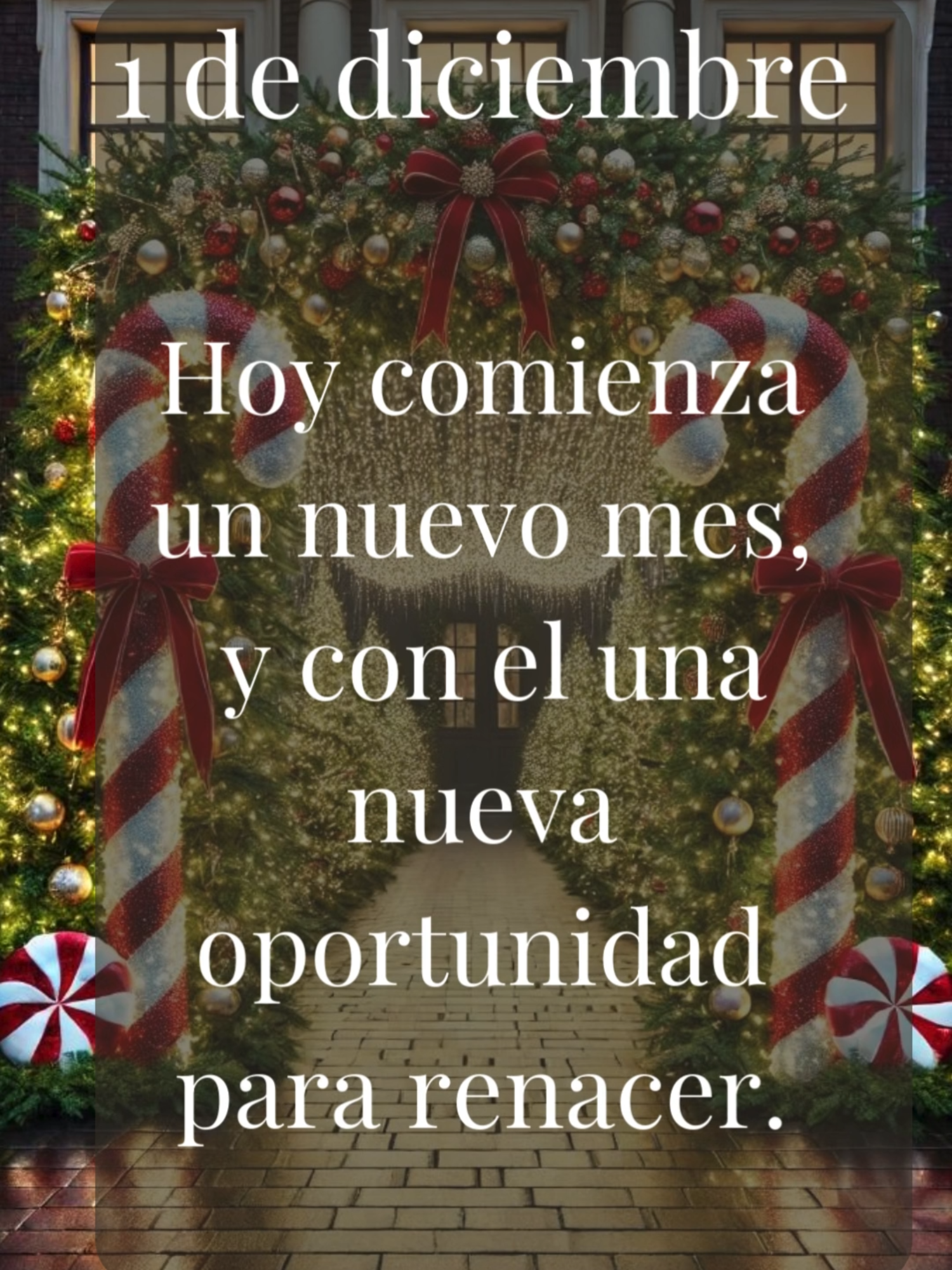 1 de diciembre Hoy comienza un nuevo mes, y con él, una nueva oportunidad para renacer. Cada día es una hoja en blanco que puedes llenar con tus sueños y deseos. No importa lo que haya pasado ayer; hoy tienes el poder de reinventarte y dar pasos hacia lo que realmente quieres. Recuerda que cada pequeño paso cuenta y que hoy puede ser el inicio de algo maravilloso. 🌅✨ #NuevoComienzo #motivacion#diciembre #Renacer #CrecimientoPersonal