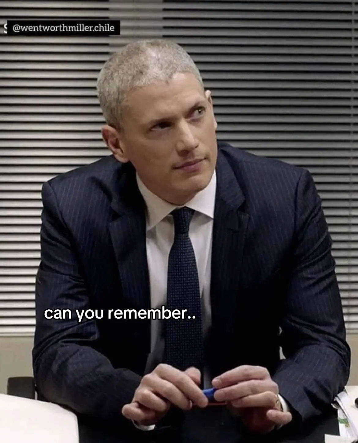 #WENTWORTHMILLER #viral #dc #michaelscofield #fyp #prisonbreak 